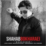 دانلود آهنگ مقصر – شهاب بخارایی