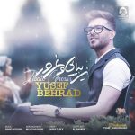 دانلود آهنگ زیبایی و غرور – یوسف بهراد