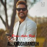 دانلود آهنگ حالا که میبینی (ریمیکس آقا رضا) – علی خدابنده