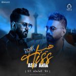 دانلود آهنگ شب موهات (ریمیکس) – آصف آریا