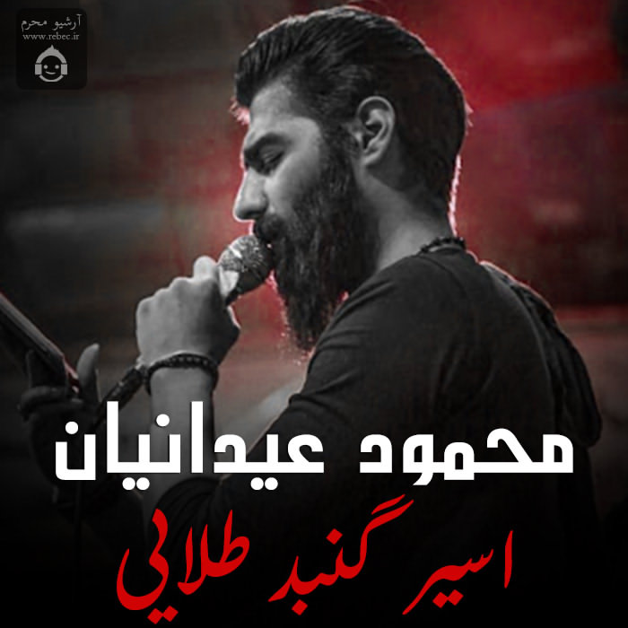 مداحی اسیر گنبد طلایی از محمود عیدانیان