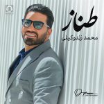 دانلود آهنگ طناز – محمد زند وکیلی
