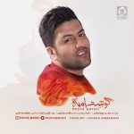 دانلود آهنگ گوشت با منه – پویا بیاتی