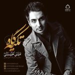 دانلود آهنگ تکیه گاه – امین حبیبی
