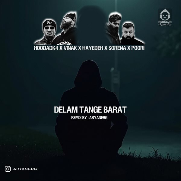 آهنگ دلم تنگه برات (ریمیکس) از ویناک و پوری و علی سورنا و هایده
