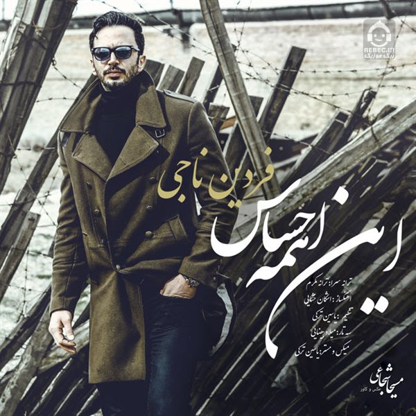 آهنگ این همه احساس از فردین ناجی