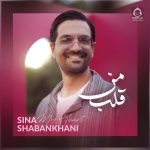 دانلود آهنگ قلب من – سینا شعبانخانی