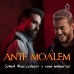 دانلود آهنگ انت معلم (ریمیکس عربی) – سهیل مهرزادگان