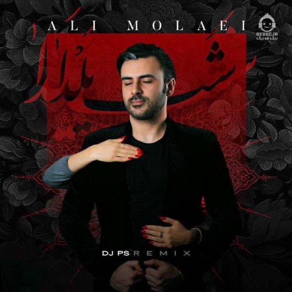 دانلود آهنگ شب یلدا (ریمیکس) – علی مولایی