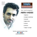 دانلود آهنگ بی قرار – امین حبیبی