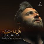دانلود آهنگ وای از دست تو – امیرعلی