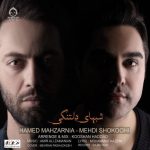 دانلود آهنگ شب های دلتنگی – حامد محضرنیا و مهدی شکوهی