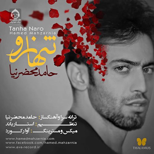 آهنگ تنها نرو از حامد محضرنیا