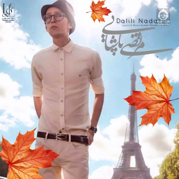 آهنگ دلیلی نداره از مرتضی پاشایی (هوش مصنوعی)