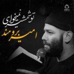 دانلود مداحی تو شمشیر نمیخوای – امیر برومند