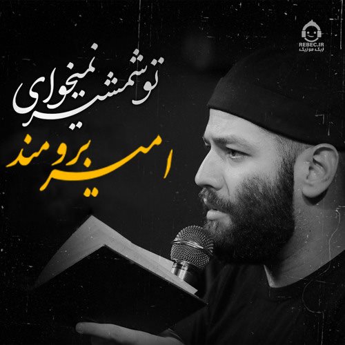 مداحی تو شمشیر نمیخوای از امیر برومند