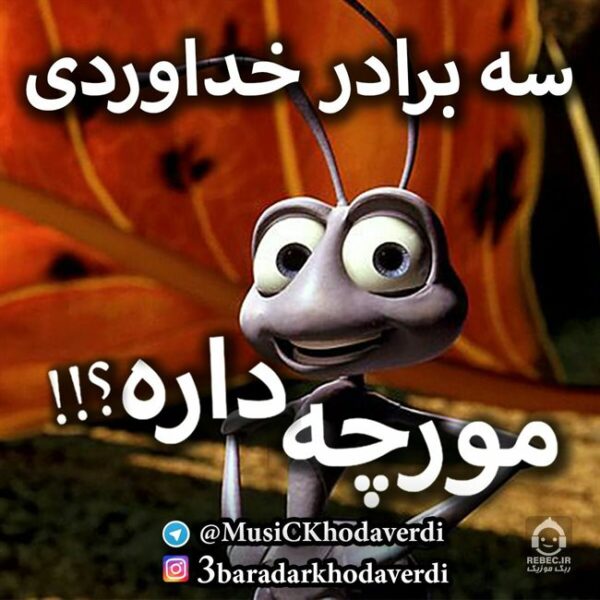 دانلود آهنگ مورچه داره – سه برادر خداوردی دانلود آهنگ مورچه داره – سه برادر خداوردی