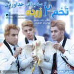 دانلود آهنگ تخم دو زرده – سه برادر خداوردی