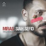 دانلود آهنگ سیاه سفید – میراث