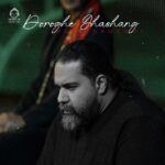 دانلود آهنگ دروغ قشنگ – رضا صادقی
