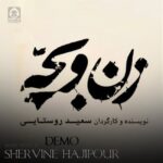 دانلود آهنگ زن و بچه (دمو) – شروین حاجی پور