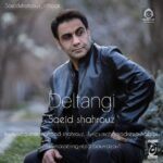 دانلود آهنگ دلتنگی – سعید شهروز