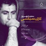 دانلود آهنگ کاری نمیکنی – سعید شهروز