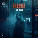 دانلود آهنگ غریبه – د دان