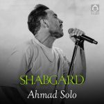 دانلود آهنگ شبگرد – احمد سلو