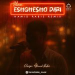 دانلود آهنگ عشقشو داری (ریمیکس) – حامیم