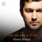 دانلود آهنگ دارم میسوزم – حامد بهداد