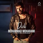 دانلود آهنگ دیدی – محمد محرمی دانلود آهنگ دیدی – محمد محرمی