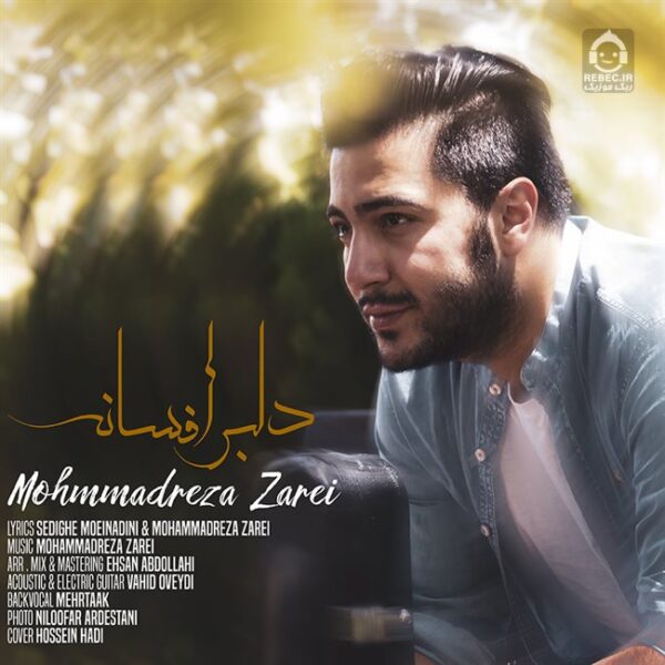دانلود آهنگ دلبر افسانه – ممرض دانلود آهنگ دلبر افسانه – ممرض