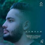 دانلود آهنگ همدم – ممرض (محمدرضا زارعی) دانلود آهنگ همدم – ممرض (محمدرضا زارعی)