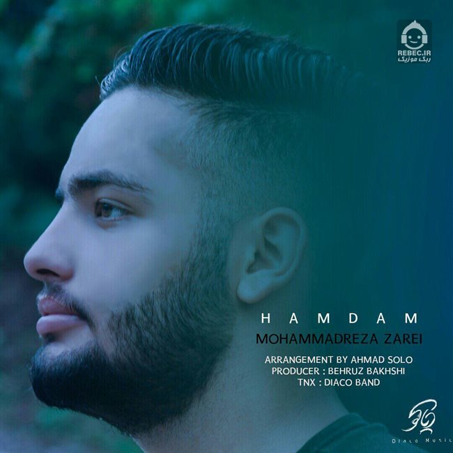 آهنگ همدم از ممرض (محمدرضا زارعی)