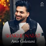 دانلود آهنگ شاخه نبات – امیر گلستانی دانلود آهنگ شاخه نبات – امیر گلستانی