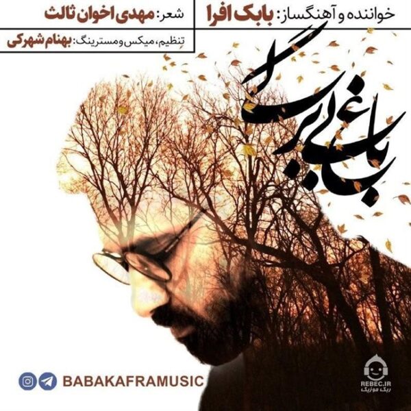 دانلود آهنگ باغ بی برگی – بابک افرا