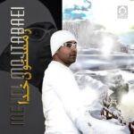 دانلود آهنگ زمستون خدا – مهدی مجتبایی