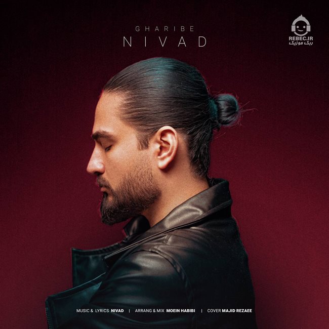 آهنگ غریبه از نیواد