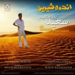 دانلود آهنگ اندوه شیرین – سعید پورسعید