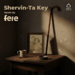 دانلود آهنگ میپرسی تا کی (ریمیکس) – شروین حاجی پور