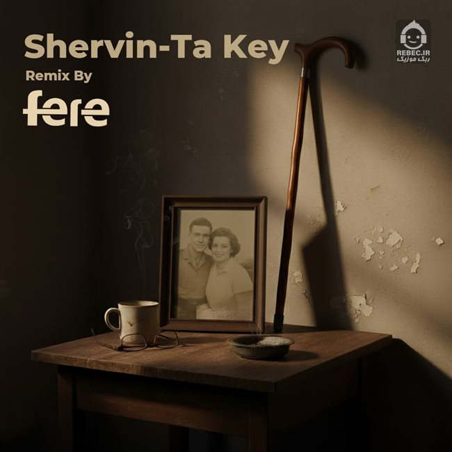 آهنگ میپرسی تا کی (ریمیکس) از شروین حاجی پور