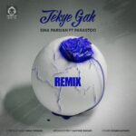 دانلود آهنگ تکیه گاه (ریمیکس) – سینا پارسیان