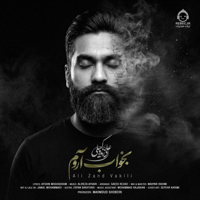 آهنگ بخواب آروم از علی زندوکیلی