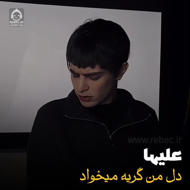 آهنگ دل من گریه میخواد از علیها