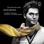 دانلود آهنگ چقدر منو دوسم داری – هادی سپاسی