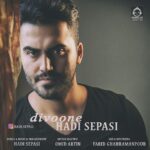 دانلود آهنگ دیوونه – هادی سپاسی