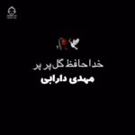 دانلود آهنگ خداحافظ گل پر پر – مهدی دارابی (هوروش بند)