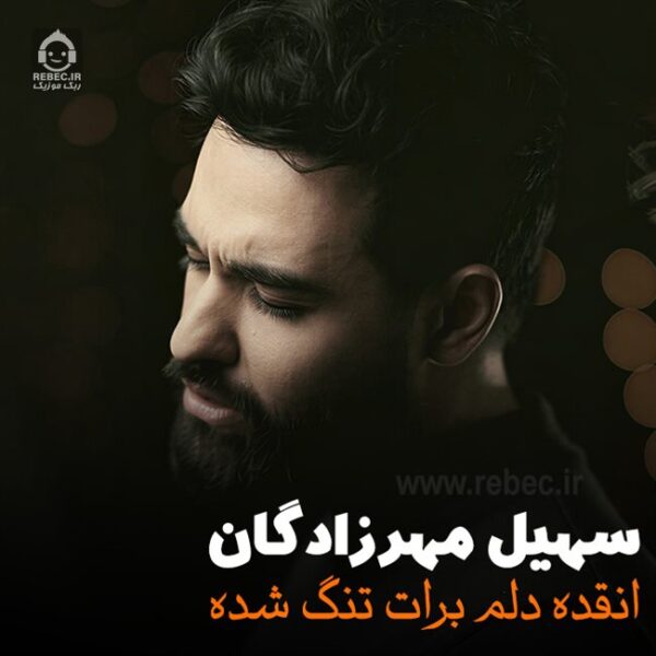 دانلود آهنگ انقده دلم برات تنگ شده – سهیل مهرزادگان دانلود آهنگ انقده دلم برات تنگ شده – سهیل مهرزادگان