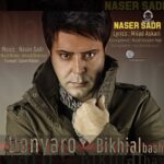 دانلود آهنگ دنیا رو بیخیال باش – ناصر صدر